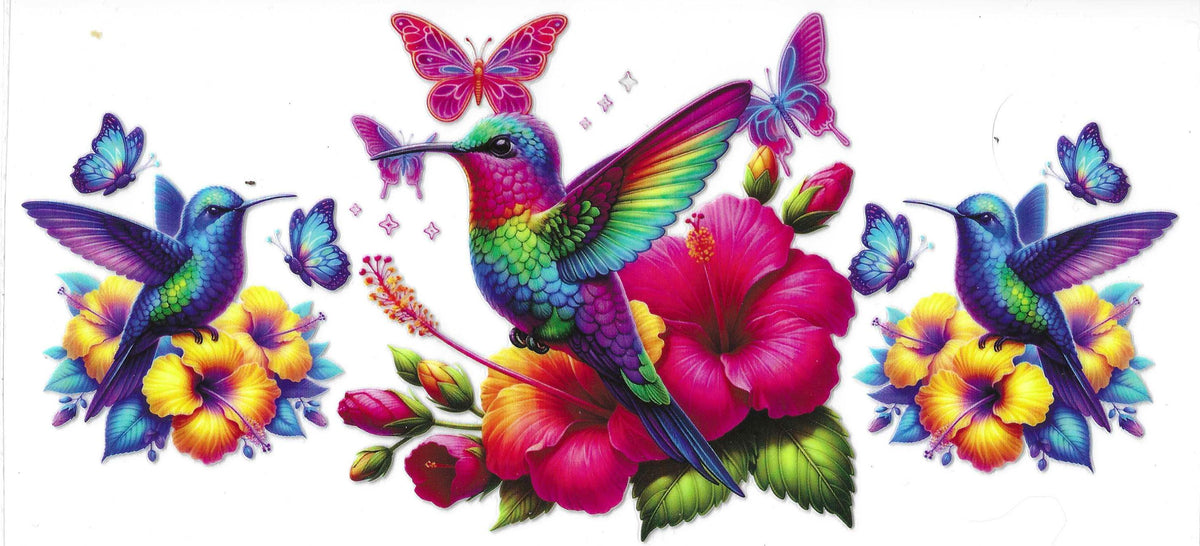 Birds