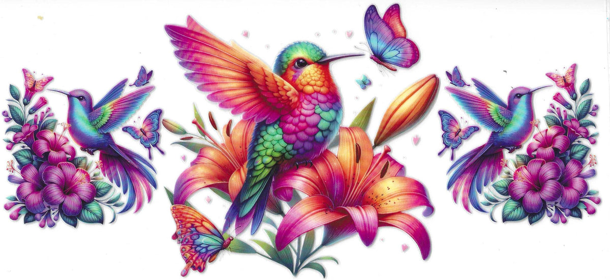 Birds