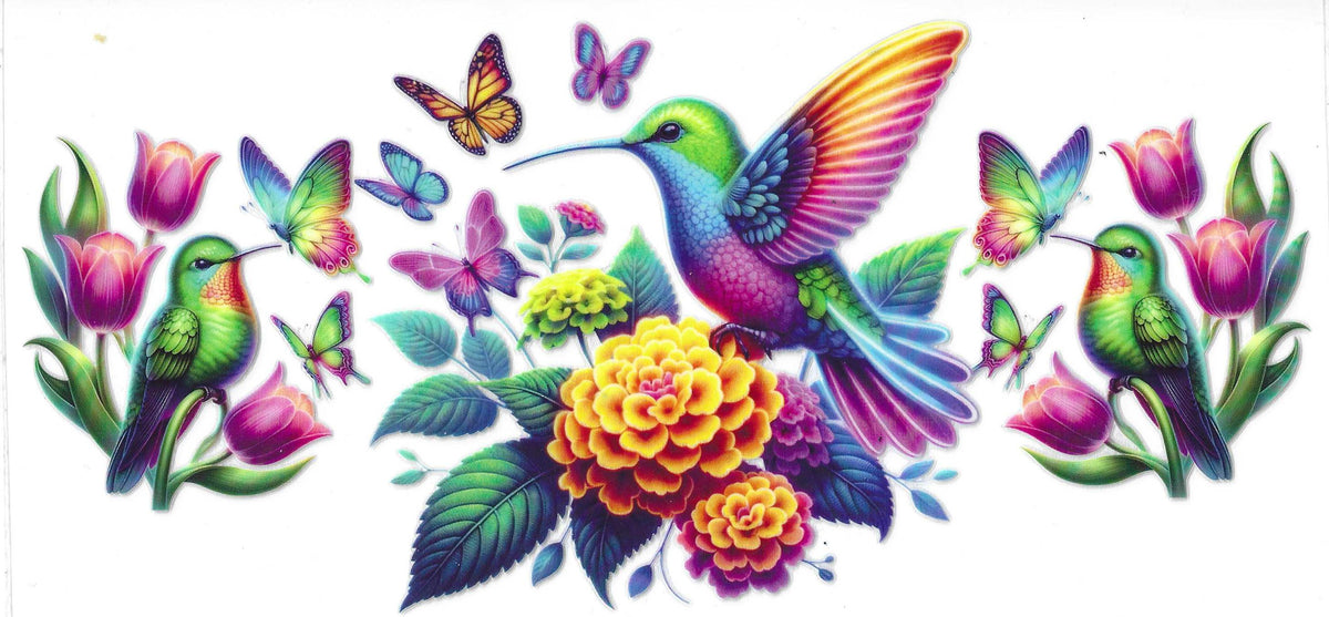 Birds