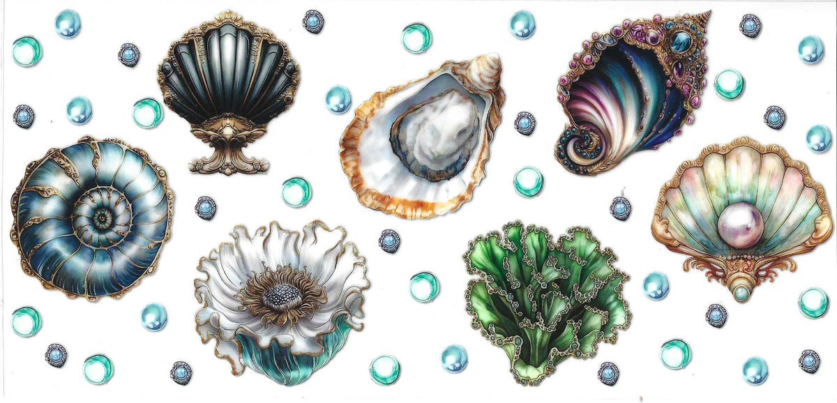 Seashells