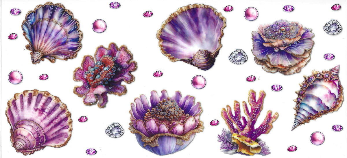 Seashells