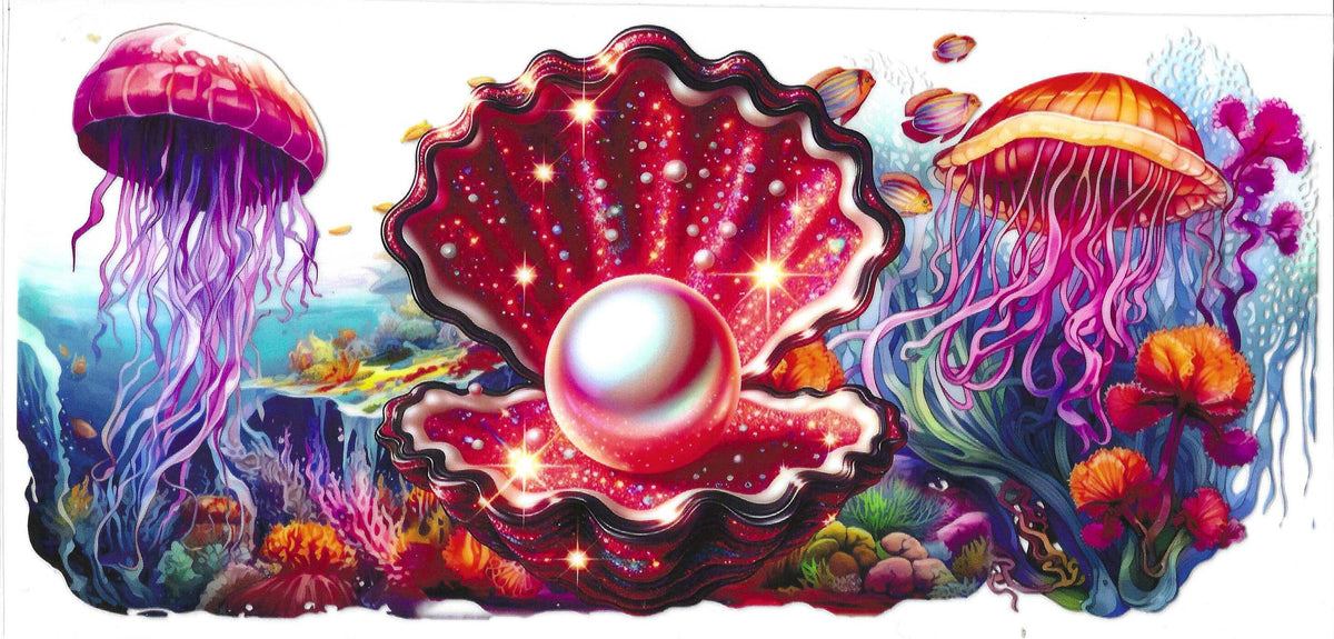 Seashells