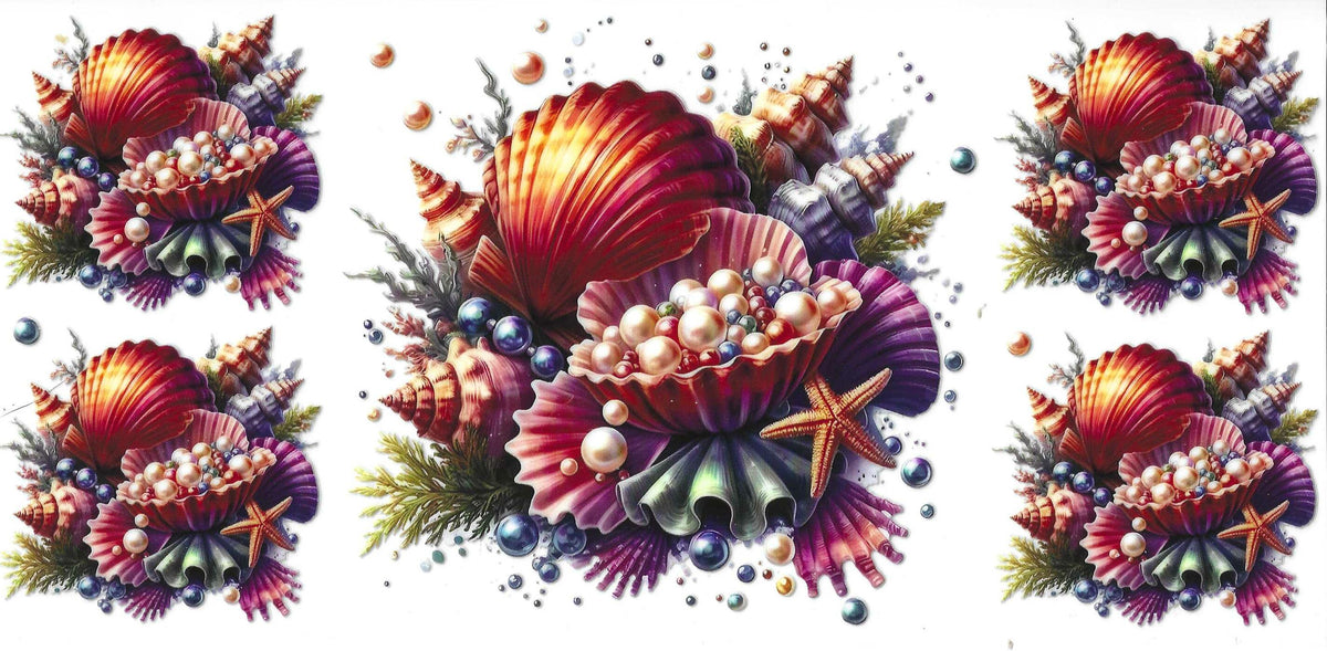 Seashells