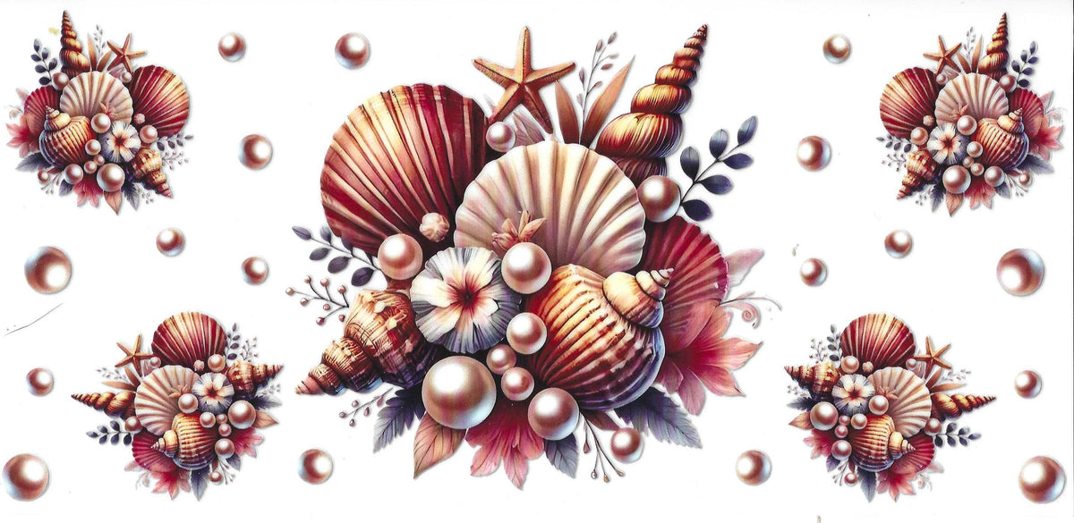 Seashells